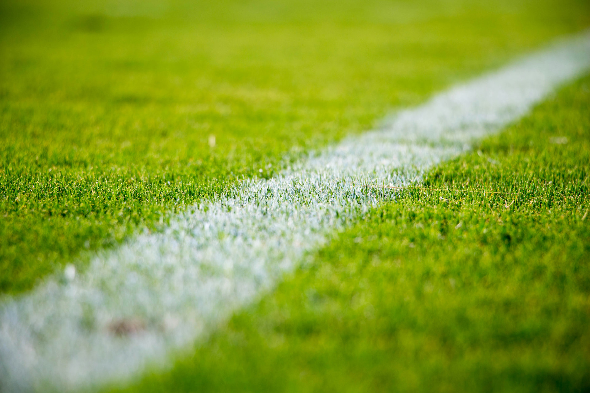 A freshly painted white line across a green playing field